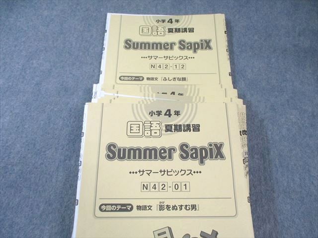 ㉒な　サピックス　SAPIX 4年　国語　算数　テキスト　フルセット SAPIX サピックス 小4 算数 計84回分 デイリーA⁄B⁄サマー 本 国語