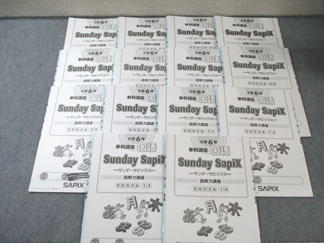 SAPIX 小6 サピックス SS特訓 単科講座 国語 全14回分フルセット 通年セット 2025 045M2D