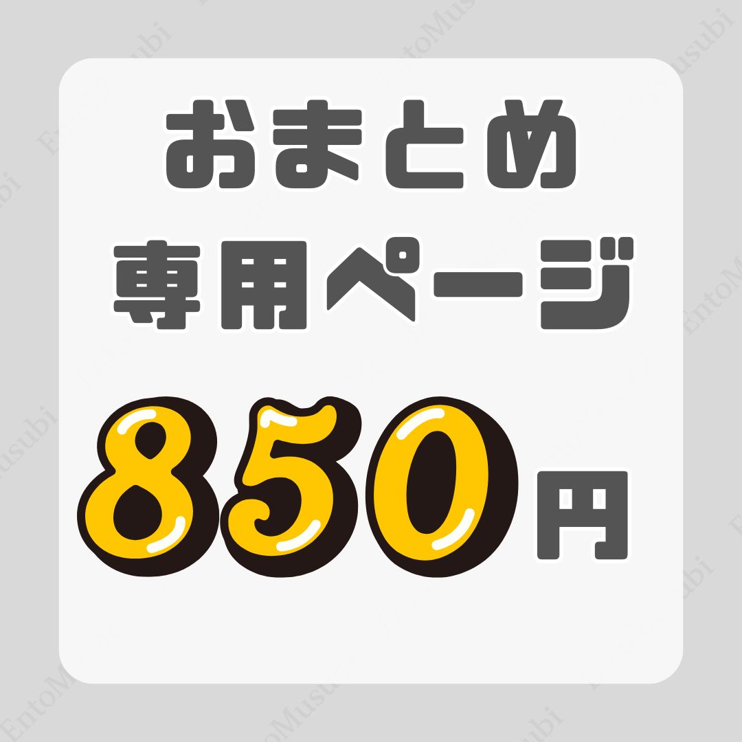 ＊＊＊2足おまとめ＊＊＊専用出品 おまとめ850円】｜おまとめ割引専用ページ｜組み合わせ自由 - メルカリ