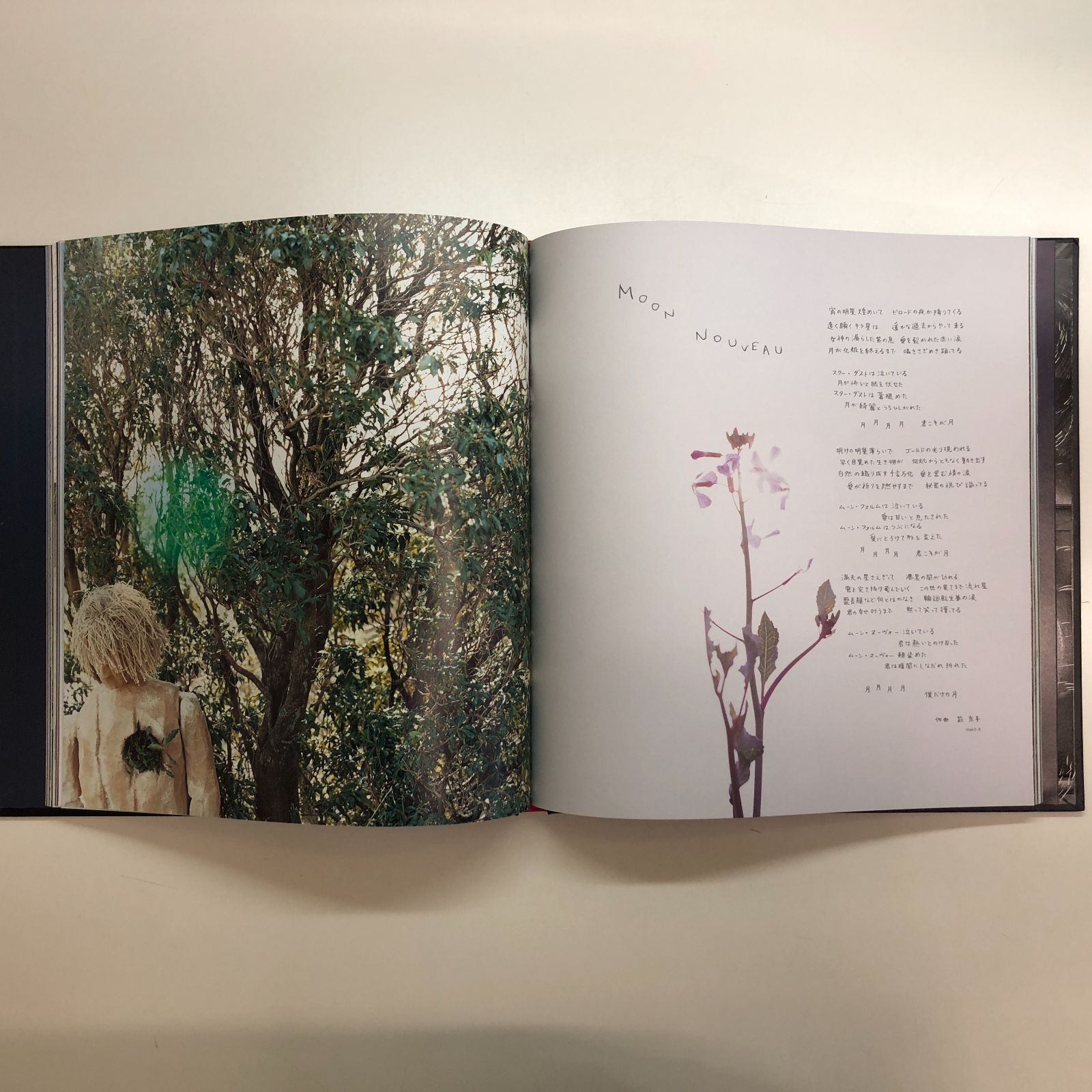 N 5 CD 沢田研二 COCOLONOOTO 邦楽 CD CD DVD ブルーレイ