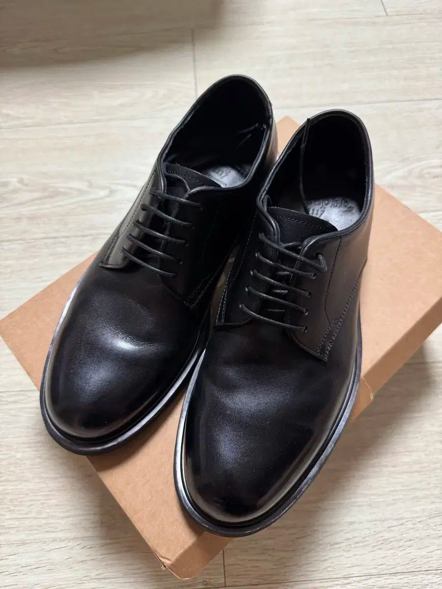 josepht THE B ドビ TONY 255