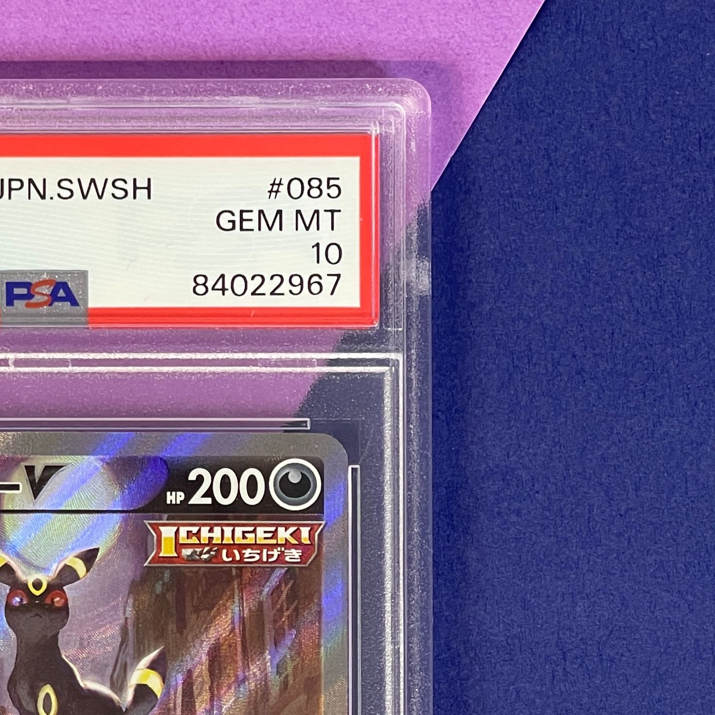 PSA10】ポケモンカード ブラッキーV SR [イーブイヒーローズ] s6a 085