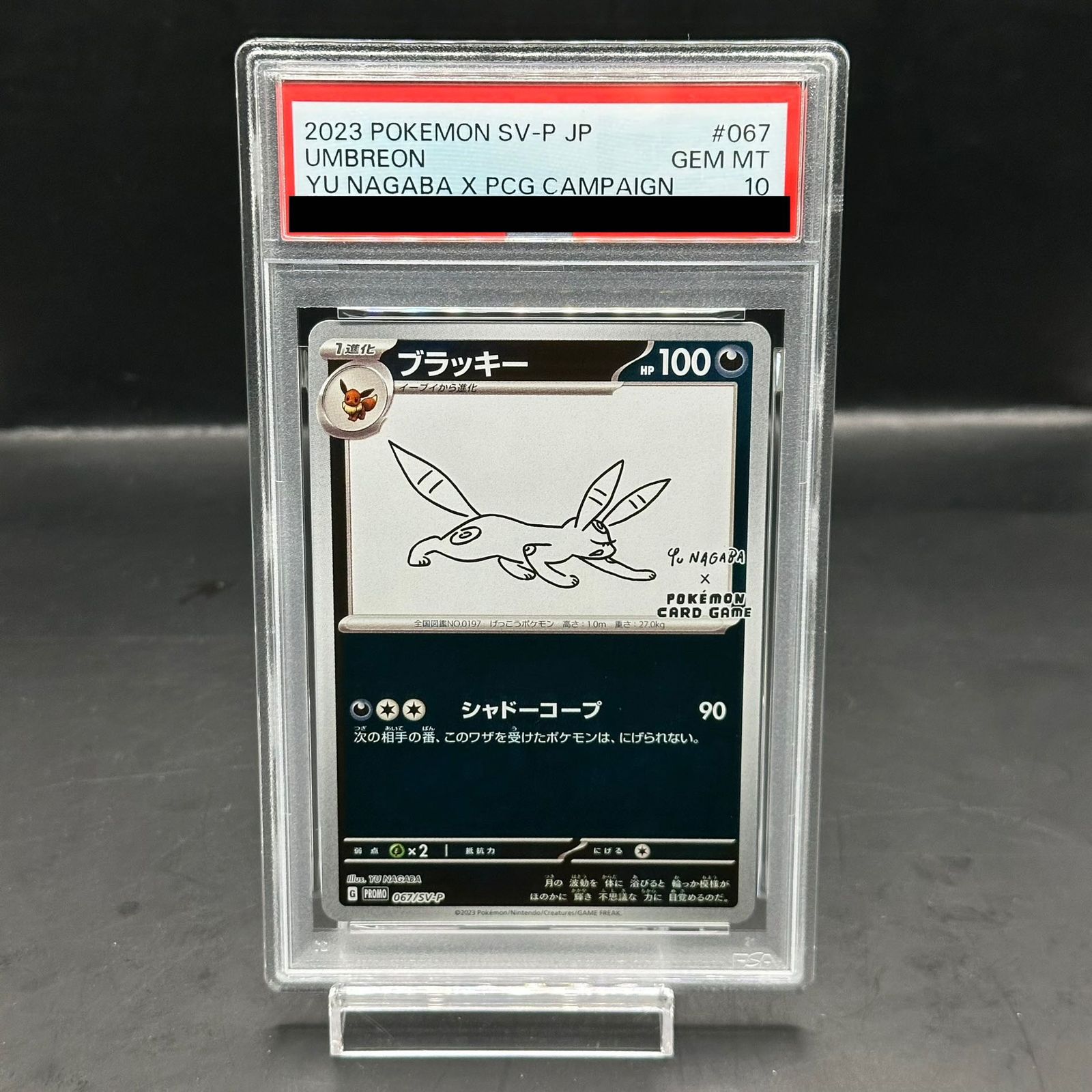 ブラッキー: プロモ (ナガバブラッキー) [SV-P 067　 PSA10 ブラッキー: プロモ (ナガバブラッキー) [SV-P 067 PSA10