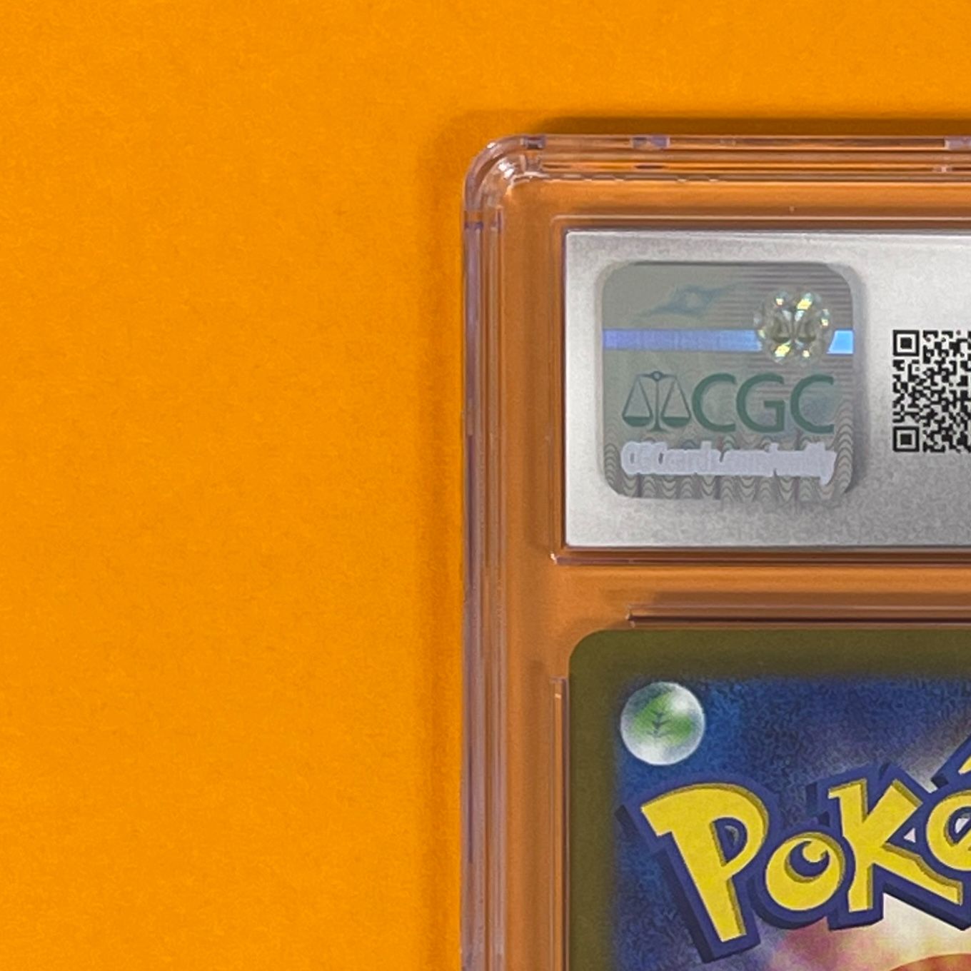 シャイニートレジャー