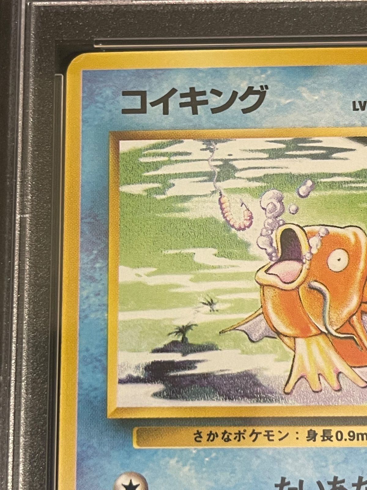 トレーディングカード ポケモンカード コイキング 旧裏 初版 マークなし