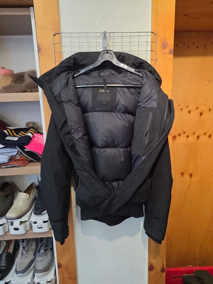 ナショナルジオグラフィック ベルーガ