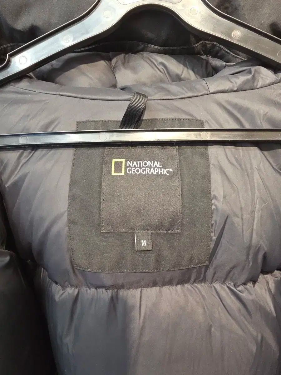 ナショナルジオグラフィック ベルーガ ダックダウン ショートダウン M KANDAIZUMI_COM