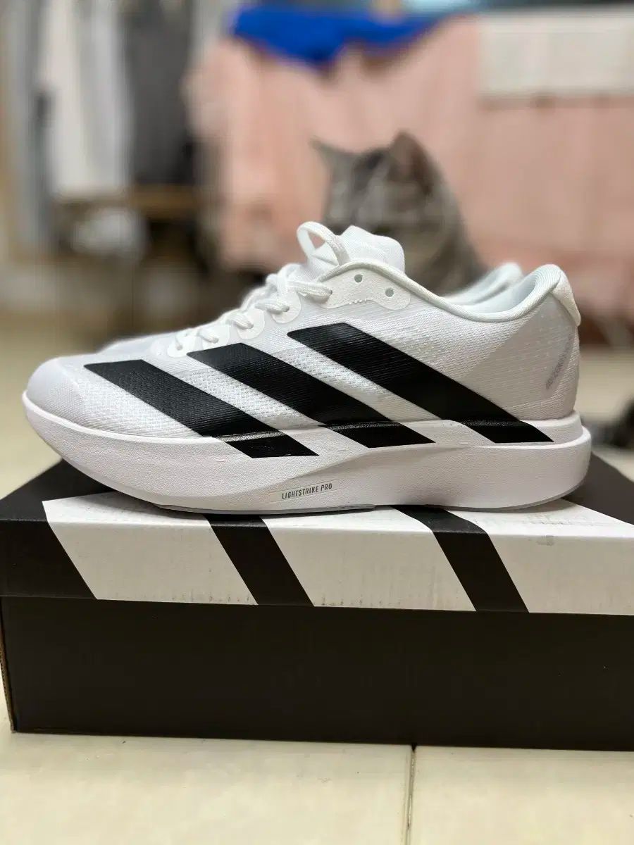 10941】 Legend ジャズベース タイプ フレイム グリーン 楽器・機材