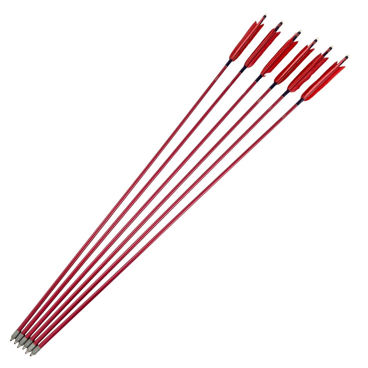 EASTON XX75 1913 弓道 矢 6本セット スポーツ用品 Y10521323