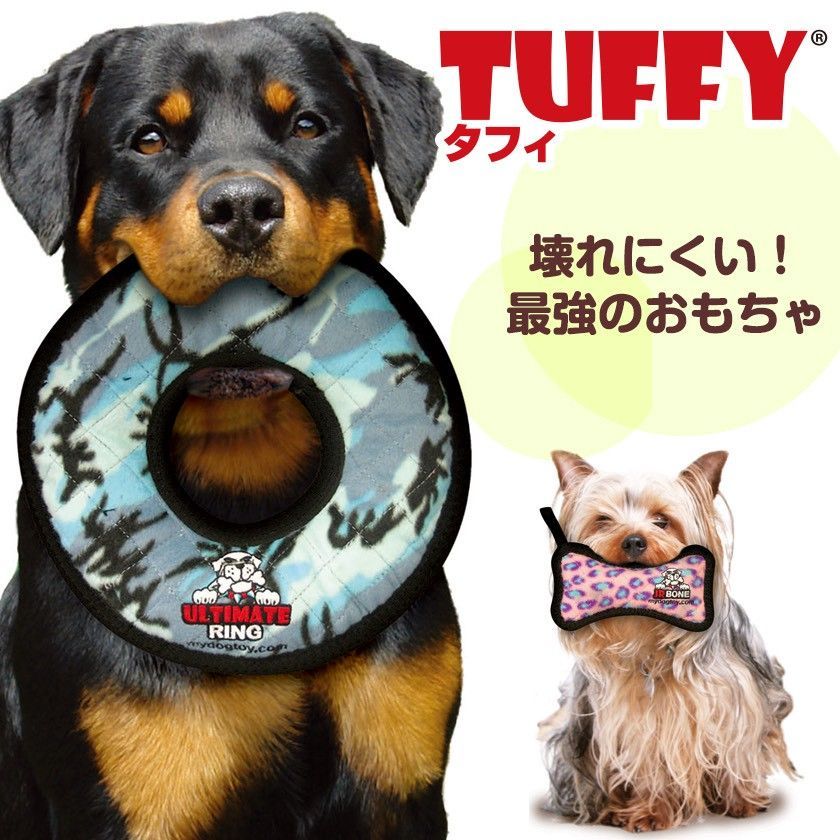 トリケラトプス