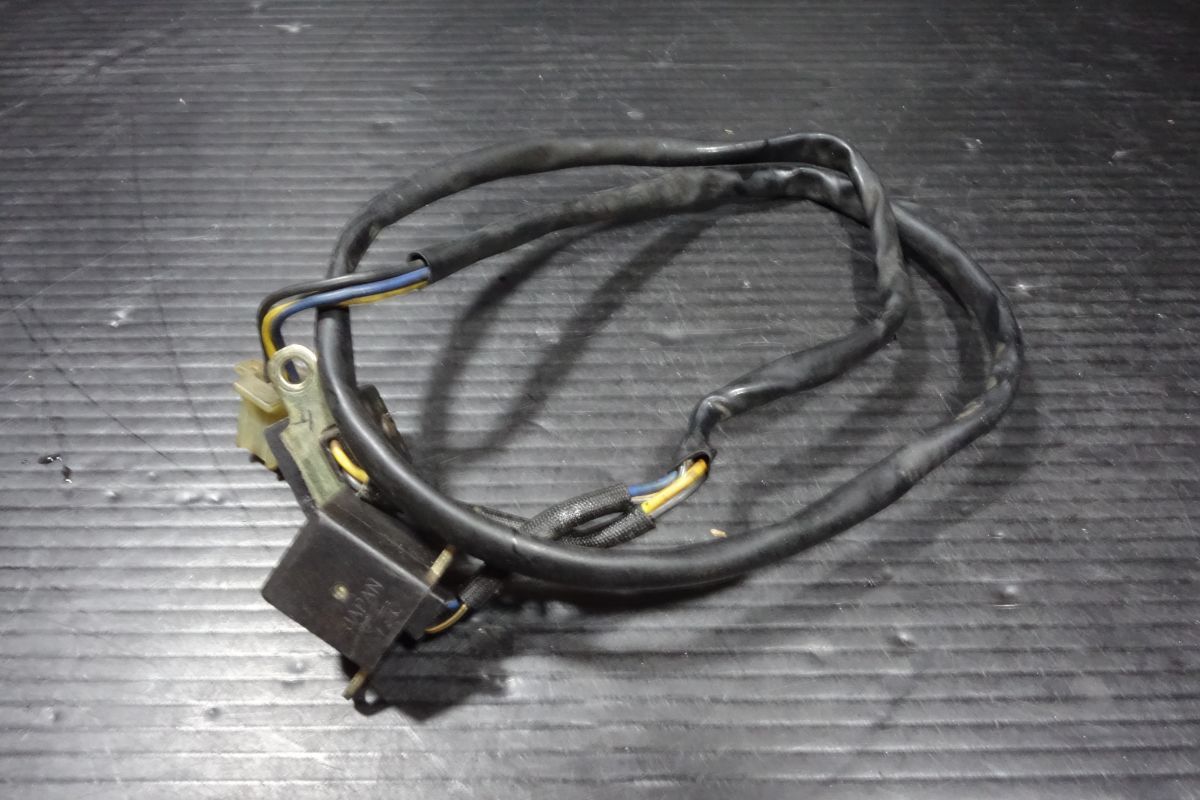 パルサ ポイント