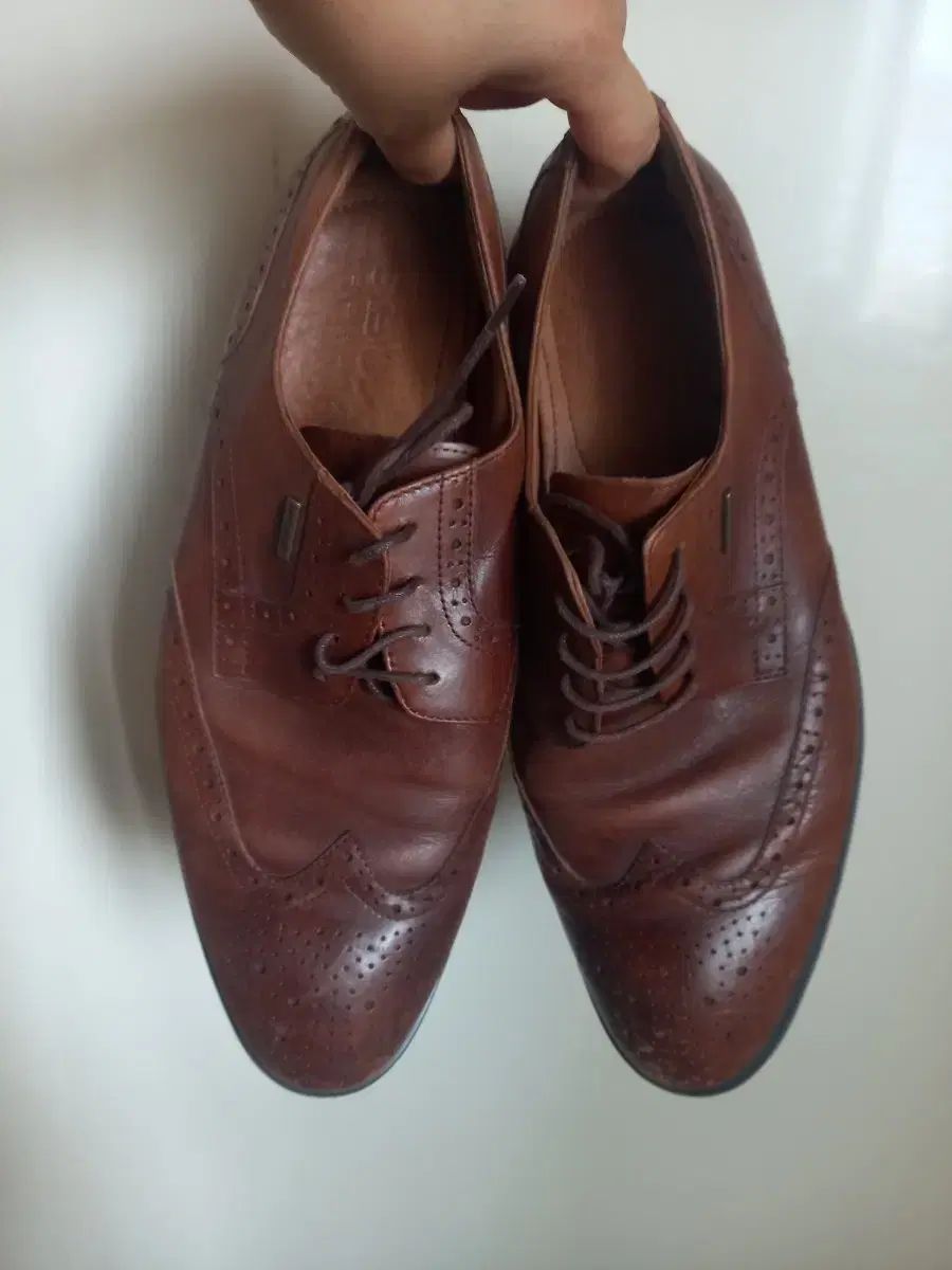 42 GEOX(ジェオックス) 靴 ウイングチップ 265-270