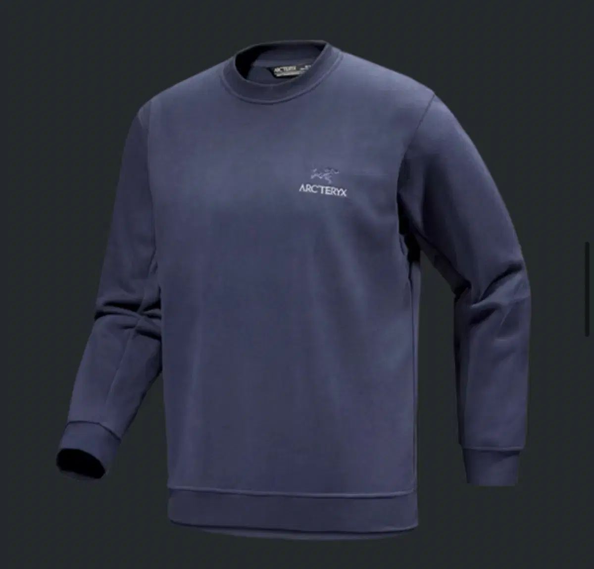  ヒジン HEEJIN 着用 ARC TERYX アークテリクス スウェット ブラックサファイア L トレーナー スウェット トップス