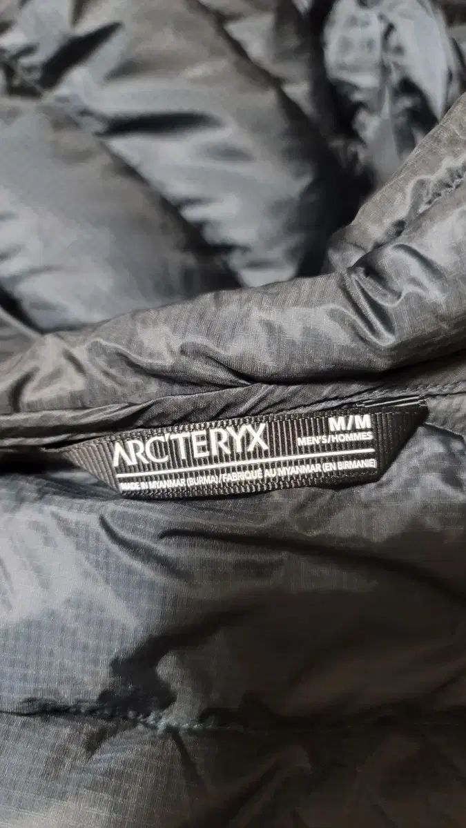 Cerium LTフーディ