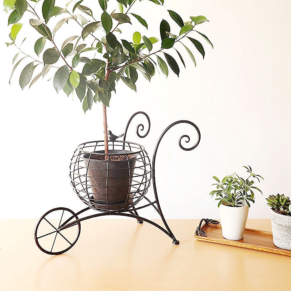 おしゃれ ガーデニング