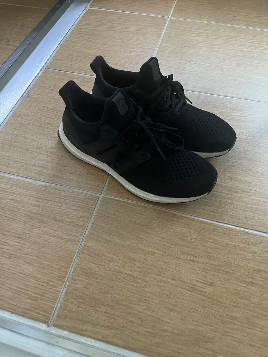 アディダス イージーブースト 1 0