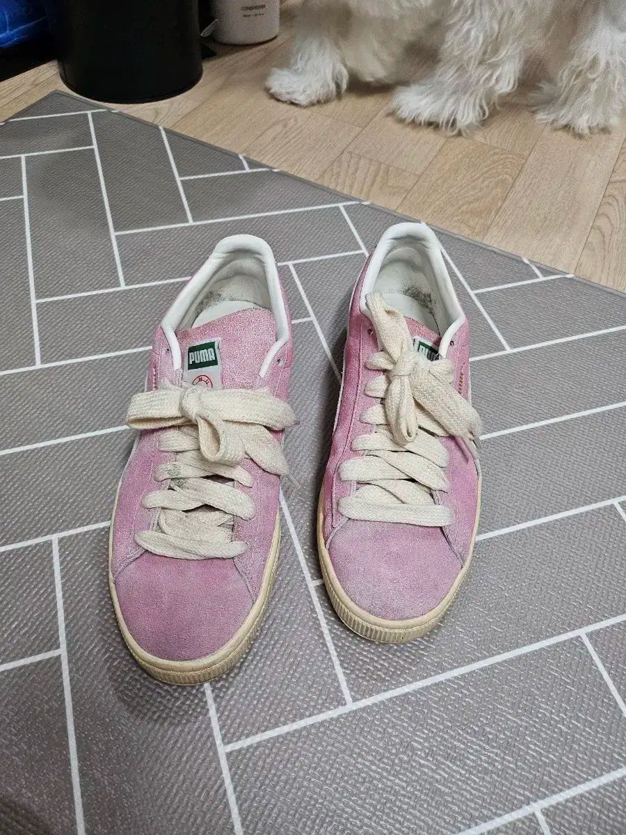 PUMA ルイージ コラボ 靴 26.5 cm Kream 品