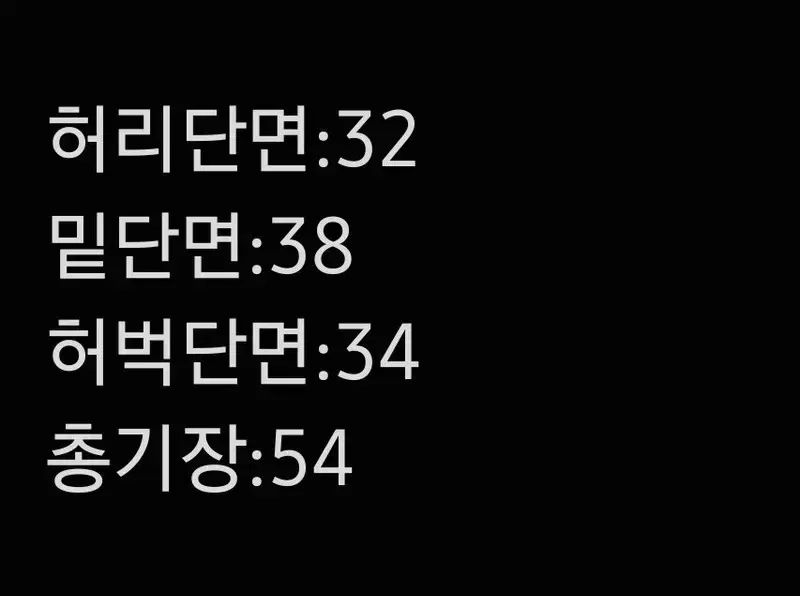 レディース 5部丈