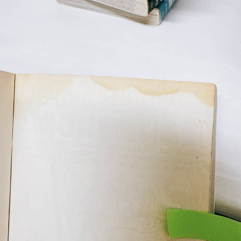  ベルセルク 1〜43巻 全巻 セット 既刊全巻 三浦建太郎 白泉社 JETS COMICS 青年コミック誌 ヤングアニマル 青年漫画 漫画