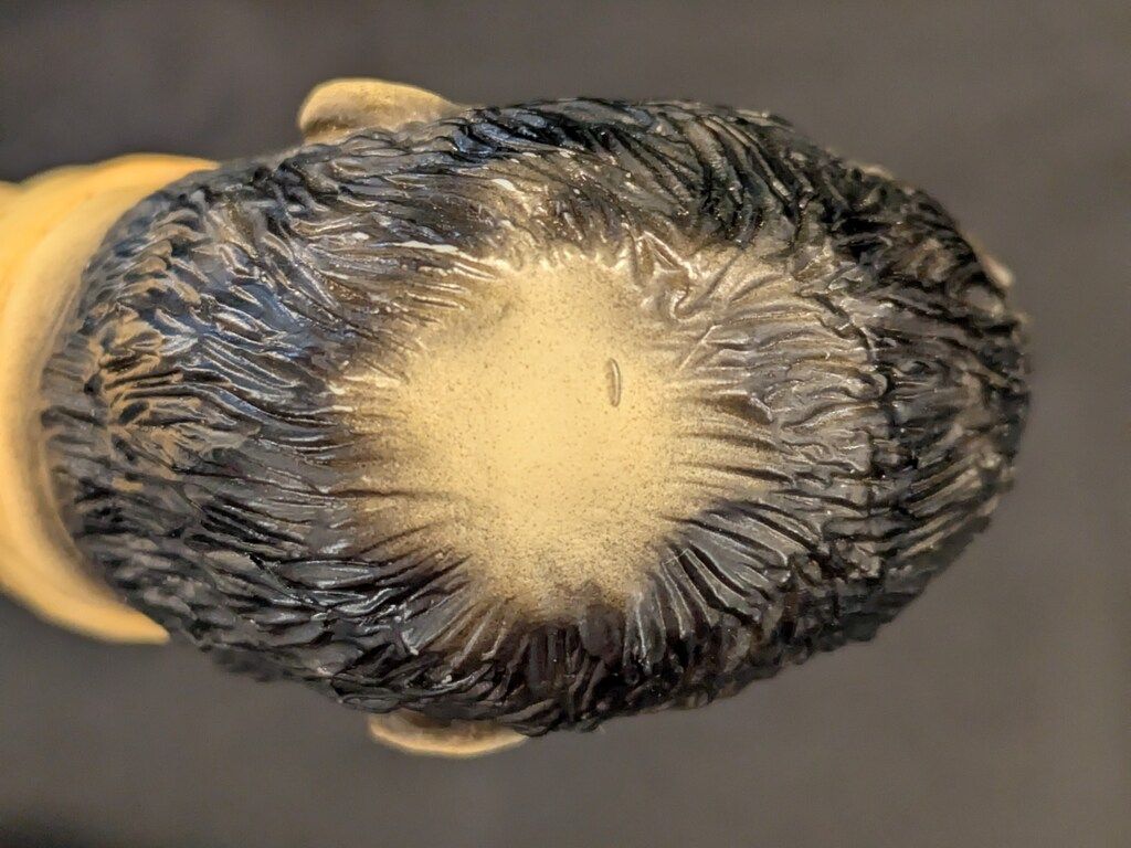 暗黒エンターテイメント 墓場の画廊 轆轤 苦労九郎 1stカラー - メルカリ