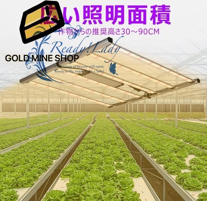 観葉植物 植物成長促進