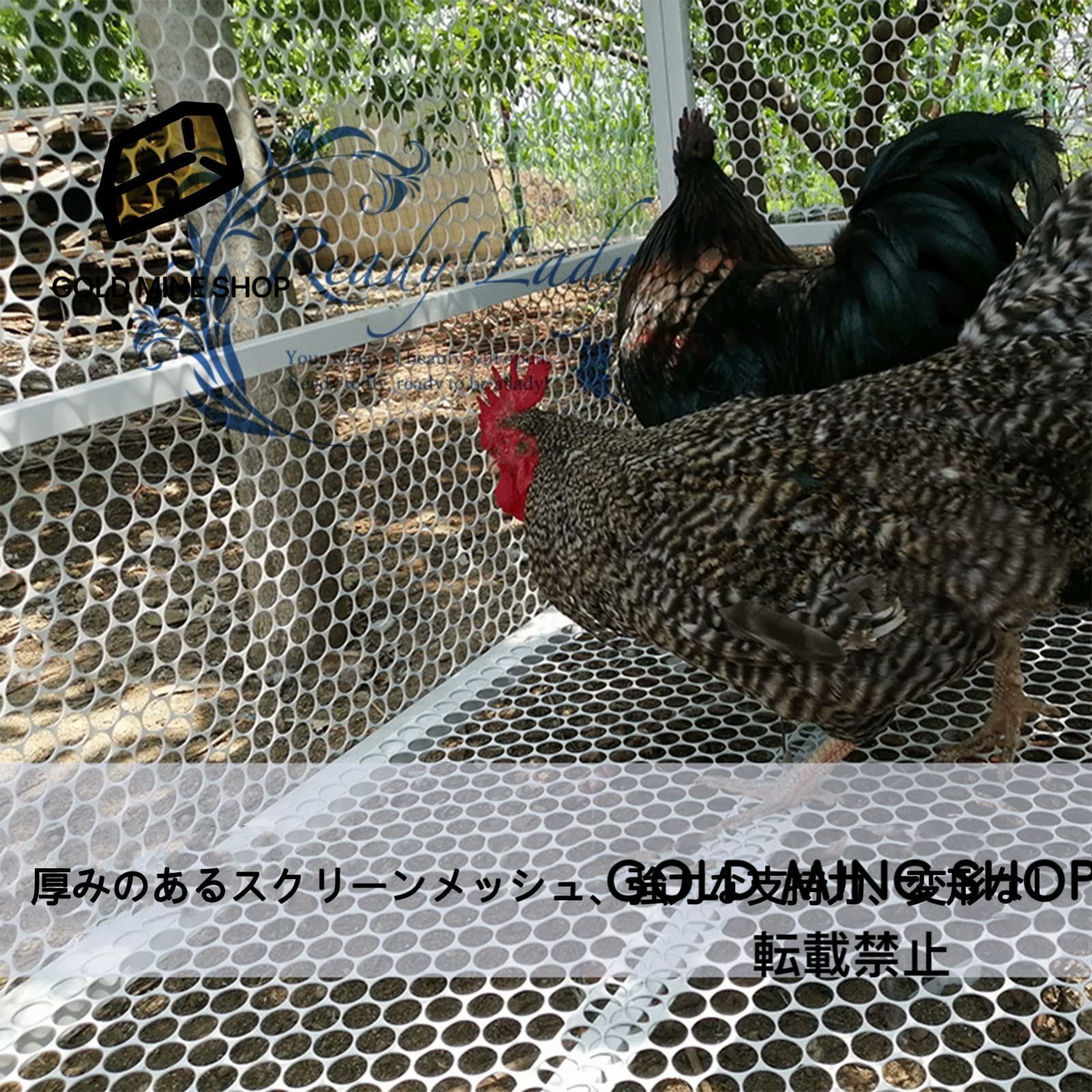 2 mm厚ワイヤーチキンケージ