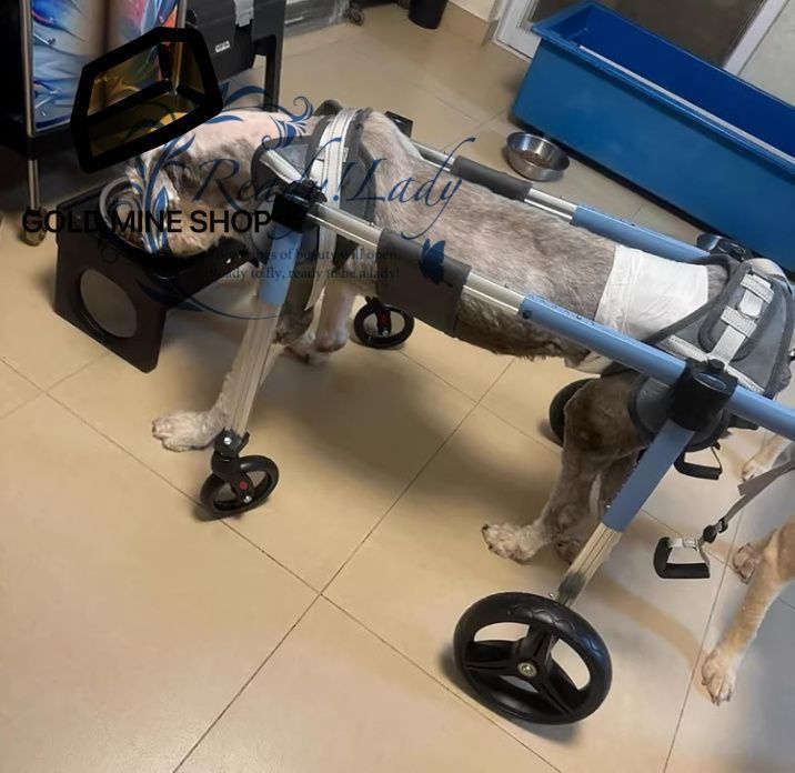 犬 車椅子 フルサポート犬用車椅子 4 輪 大型 中型 小型犬用調節 な犬用移動カート 前輪と後輪付き負傷ペット用脚装具カート Blue M