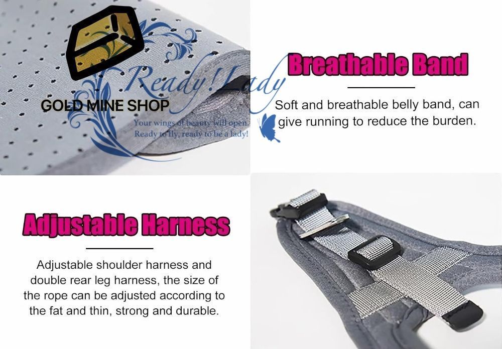 な犬用歩行補助カート 高齢の障害のあるペット犬用ダックスフント回復装置