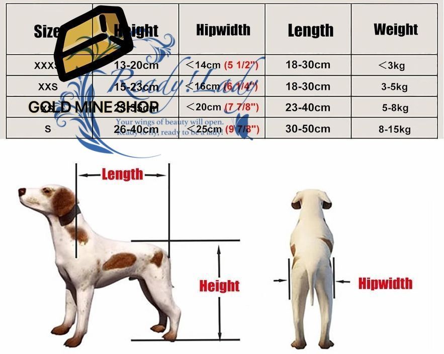 快適な小型猫用車椅子 麻痺した後ろ足