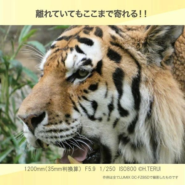 パナソニック Panasonic