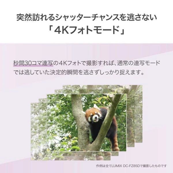 メーカー保証付き