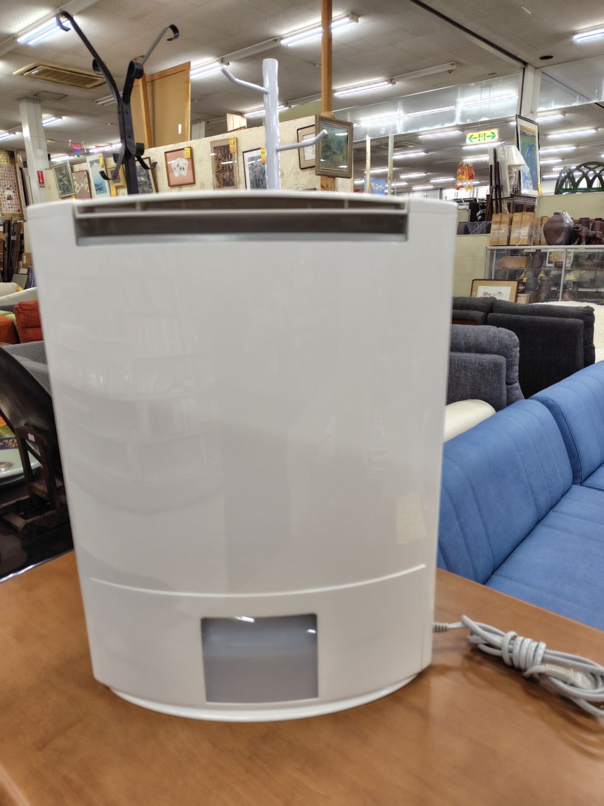 Panasonic(パナソニック) デシカント方式除湿乾燥機 シルバー F-YZG100 