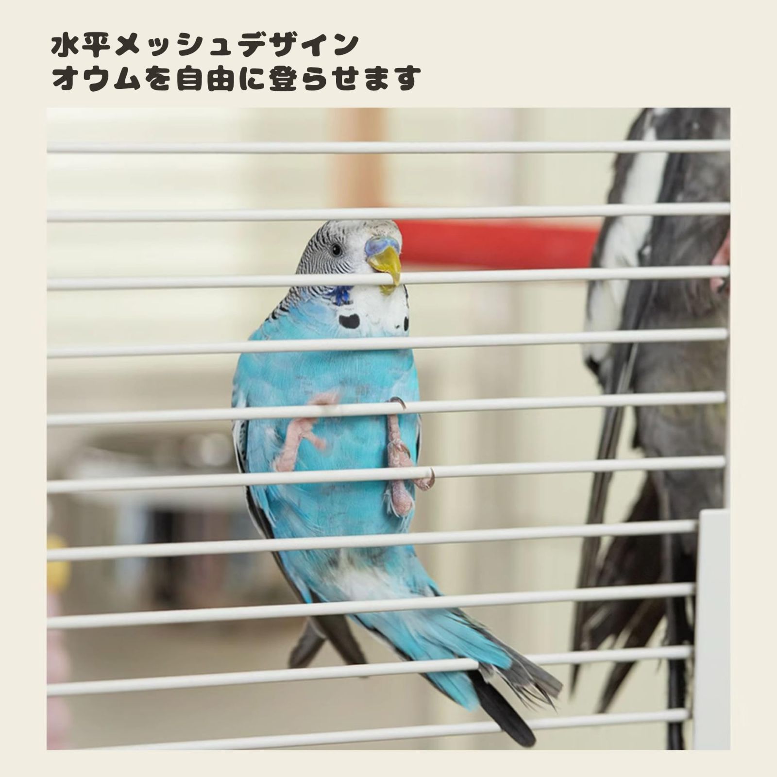 138CM特大サイズ鳥かご