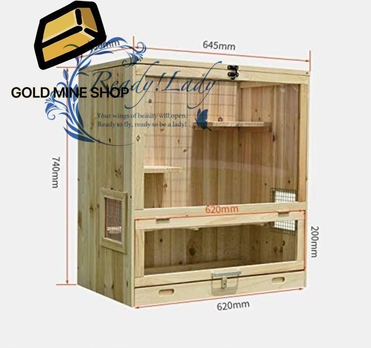 フェレット リス