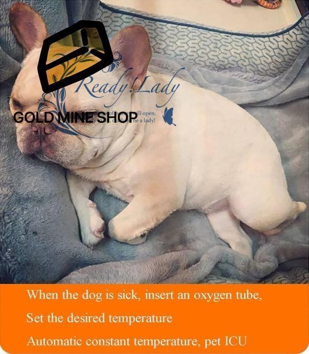 暖房付き大型ペット保育器