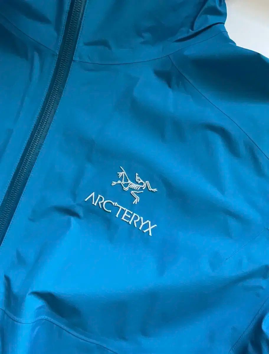 ARC TERYX アークテリクス ZETA SL プレネティック L