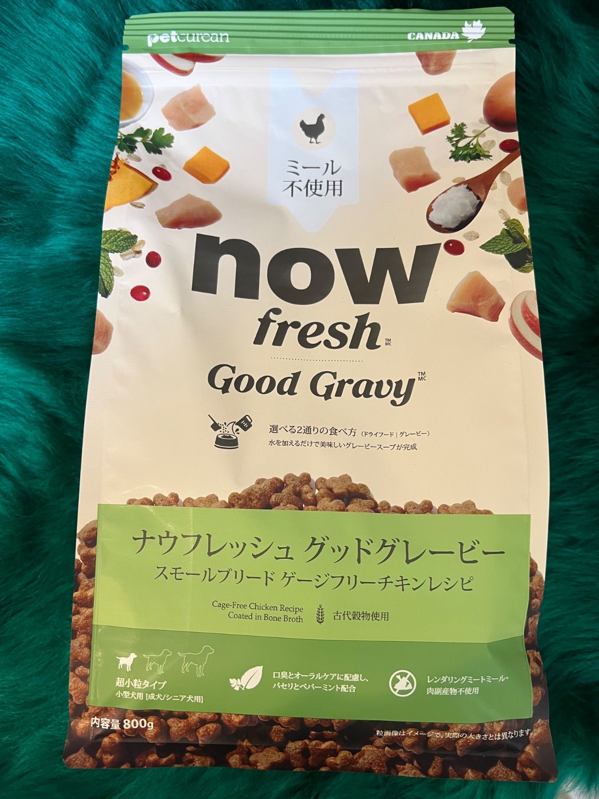 ポケモンカード ジムバッジ XY-P ナツメ キラ 激レア プロモ