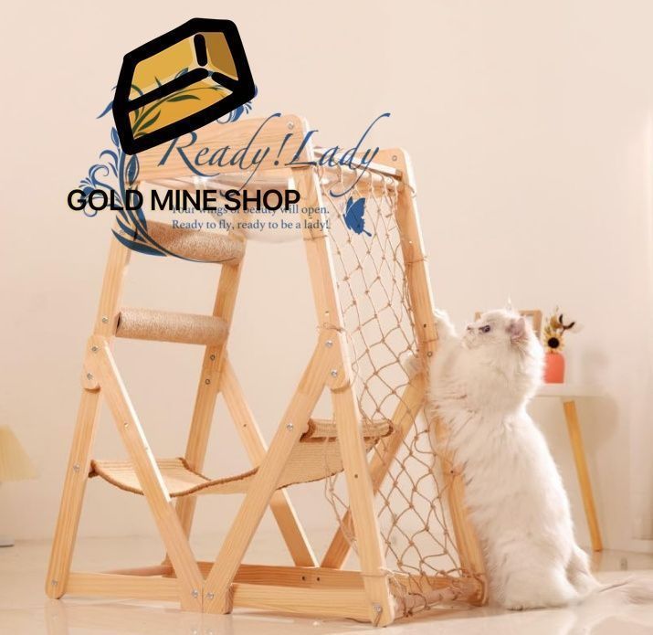 キャットウォーク 猫