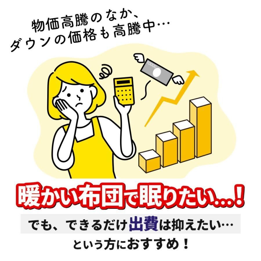 羽毛＆ポリエステルわた 特殊1層キルト掛布団