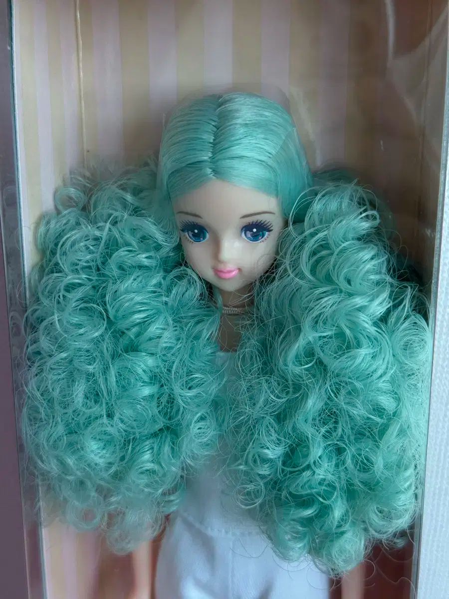 リカちゃんキャッスル ショップ 須王 環 2025年最新】リカちゃん