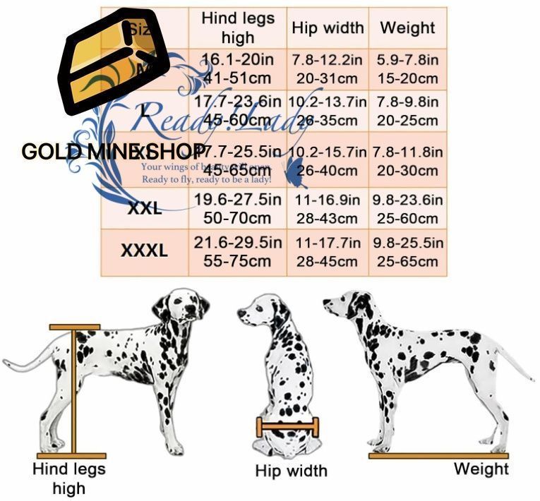 後ろ足用犬 車椅子 大型犬用車椅子 犬用歩行器 障害のあるペットの後足リハビリ 2輪 調節 XXL