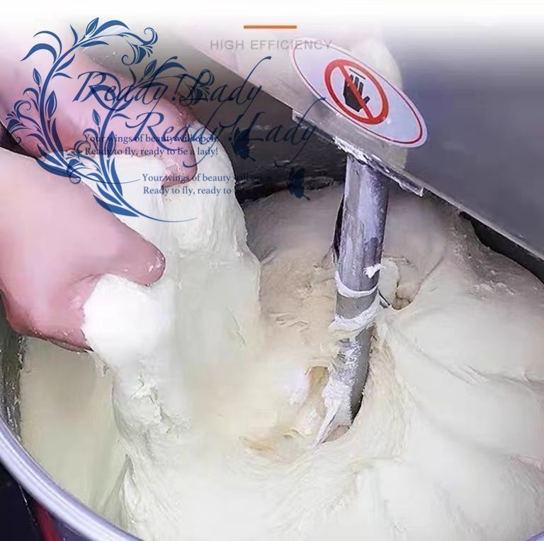 20 Lプロフェッショナル エレクトリックスパイラル生地ミキサー ZB-B 業務用 商用 F 523