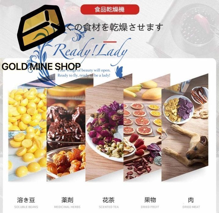 食品乾燥機 ドライフルーツメーカー 20層 フードドライヤー LCDタッチパネル 智能温度制御 タイマー設定 熱風循環システム ドライフルーツ 野菜ドライヤー 果物 キノコ 花 乾燥 食品グレード304 ステンレス鋼-20層