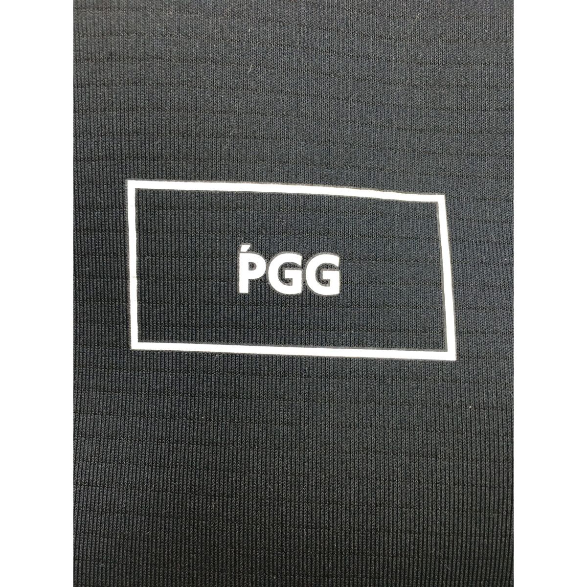PGG