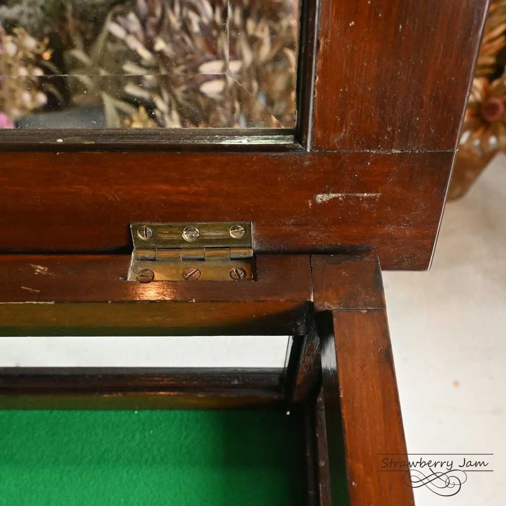 L3705-8 英国アンティーク ジュエリーキャビネット ボックス サイドキャビネット スモールキャビネット ショーケース シェラトンリバイバル ジュエリーケース イギリス NEXPOTALLINN_EU