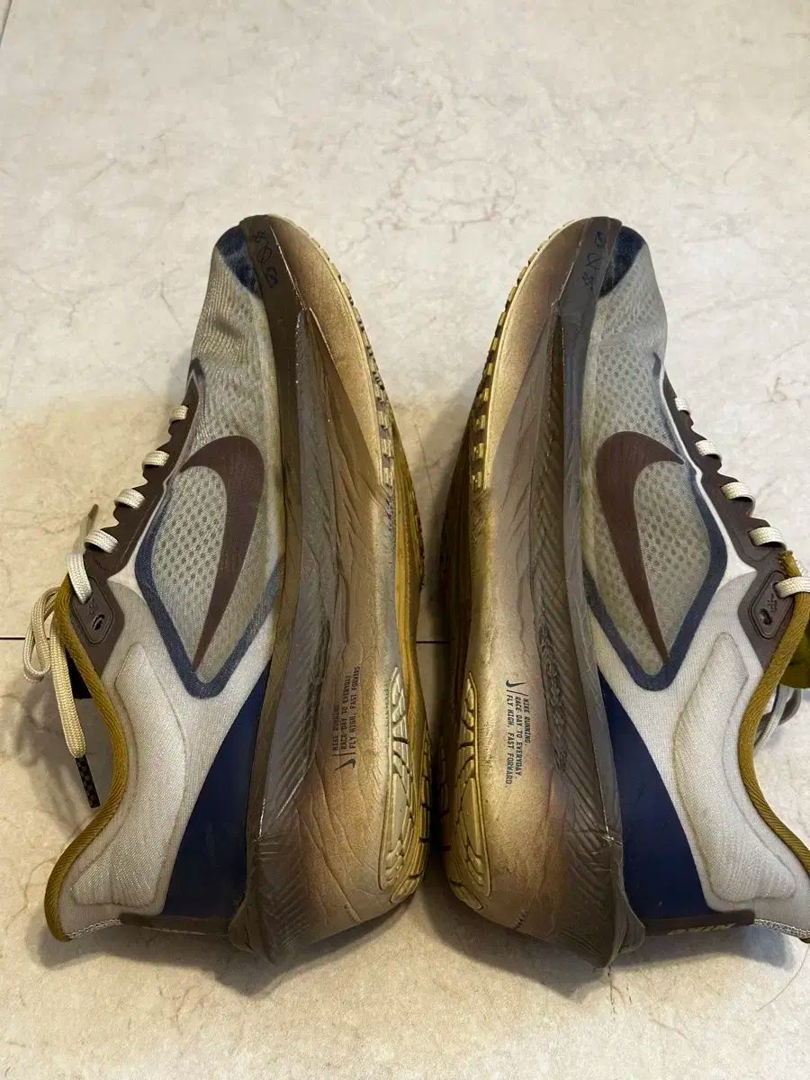 ズームフライ6 260