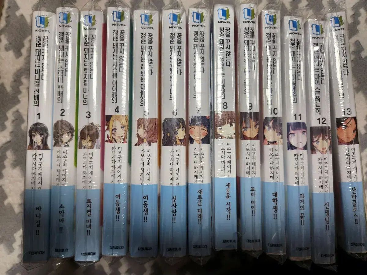 青春ブタ 1-13 ライトノベル