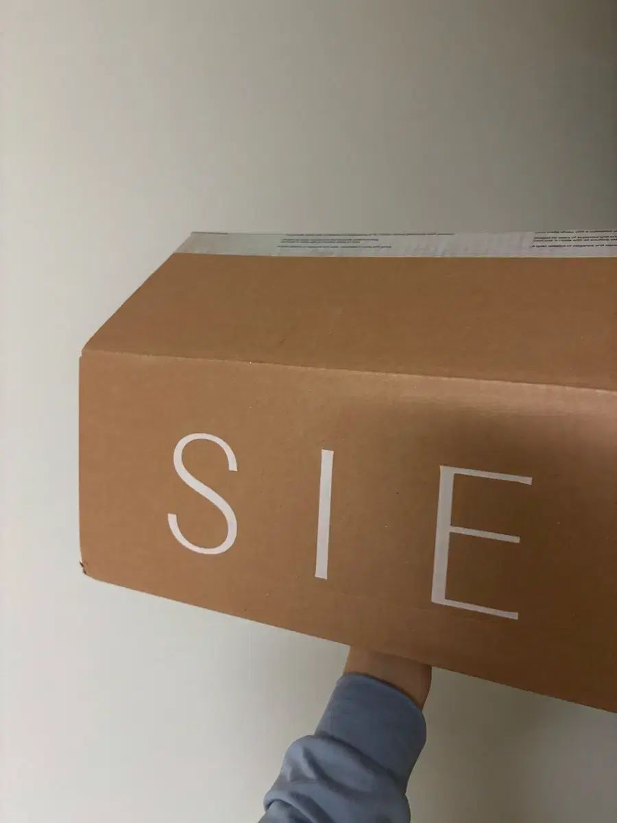  シエSIEベラリボンフラットシューズ ベージュ 250 フラットシューズ バレエシューズ パンプス