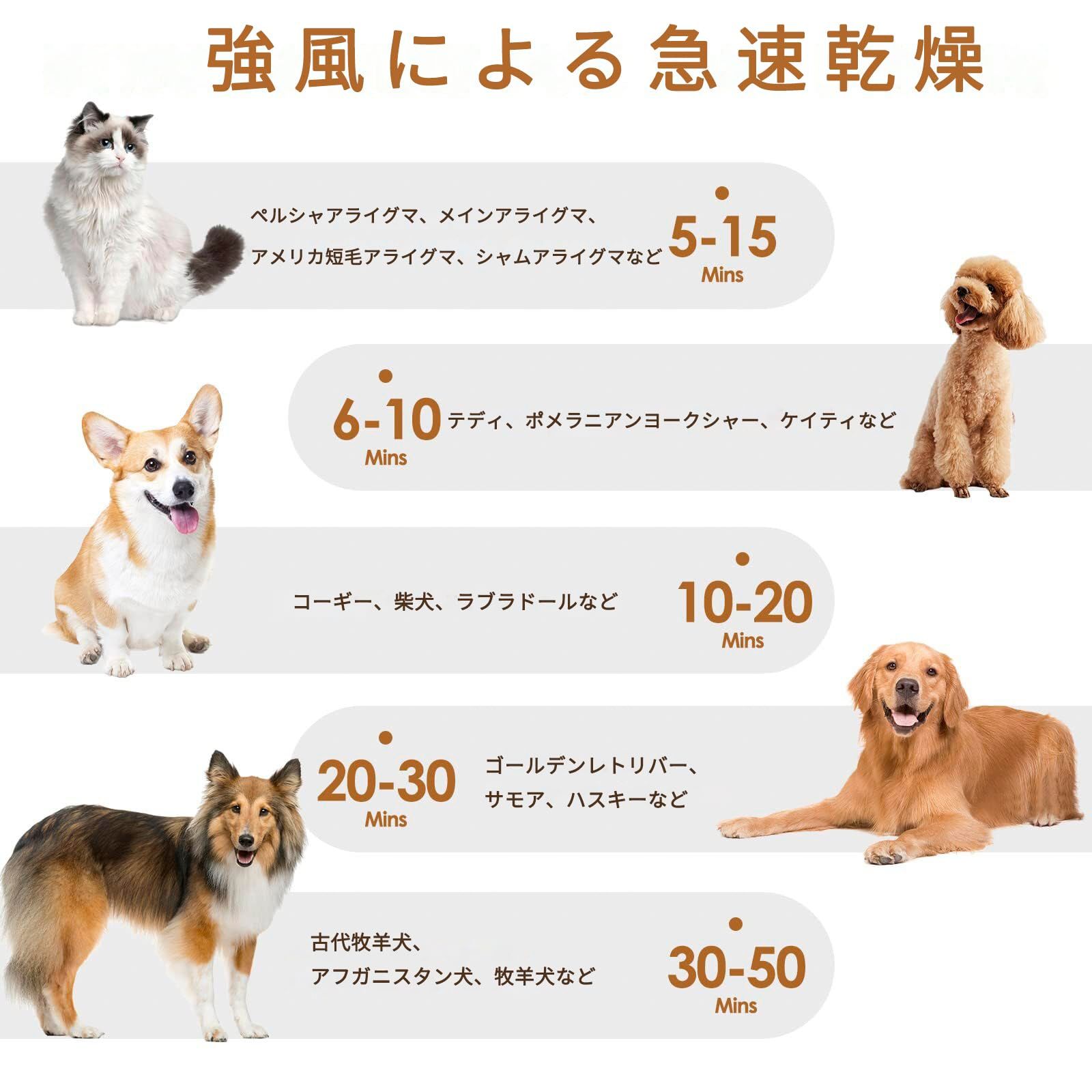 犬 猫兼用