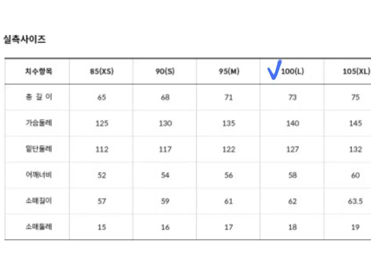 ヘビー グースダウン
